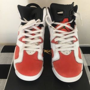 Air Jordan Retro 6 Gatorade